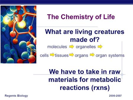 Regents Biology 2006-2007 The Chemistry of Life What are living creatures made of? We have to take in raw materials for metabolic reactions (rxns) cells.