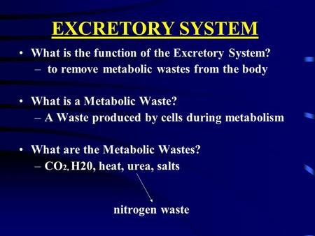 EXCRETORY SYSTEM What is the function of the Excretory System? – to remove metabolic wastes from the body What is a Metabolic Waste? –A Waste produced.