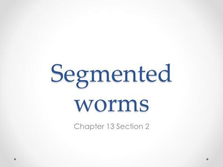 Segmented worms Chapter 13 Section 2. Annelids Segmented worms have setae (bristle-like structures) to hold on to the soil and to move Bilateral symmetry.
