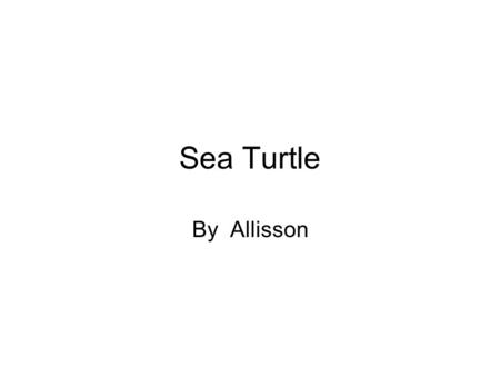 Sea Turtle By Allisson. Save the turtles Why should we care ? Because if they are gone the fish will be gone too because of people making oil slicks.