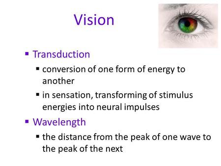 Vision  Transduction  conversion of one form of energy to another  in sensation, transforming of stimulus energies into neural impulses  Wavelength.