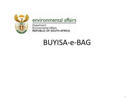 BUYISA-e-BAG 1. Presentation Outline Background Review – Purpose – Findings – Conclusion Options considered Way forward 2.