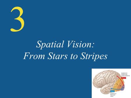 Spatial Vision: From Stars to Stripes