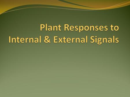 Plant Responses to Internal & External Signals