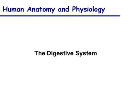 Human Anatomy and Physiology The Digestive System.