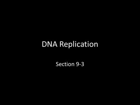 DNA Replication Section 9-3. DNA is Copied with the Help of Many Enzymes We know that the two DNA strands have a complementary relationship (A pairs with.