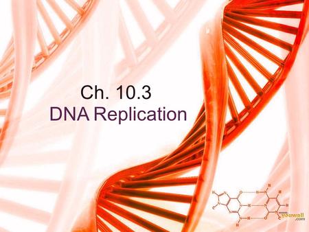 Ch. 10.3 DNA Replication. Target #15- I can describe DNA replication A single DNA strand can serve as a template for a new strand –Replication: the process.