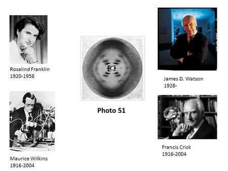 Photo 51 Rosalind Franklin 1920-1958 Maurice Wilkins 1916-2004 James D. Watson 1928- Francis Crick 1916-2004.
