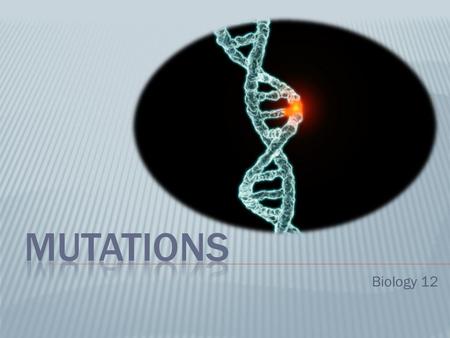Biology 12. WHAT ARE MUTATIONS?  Changes in the nucleotide sequence of DNA  May occur in somatic cells (aren’t passed to offspring)  May occur in.
