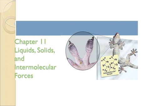 Chapter 11 Liquids, Solids, and Intermolecular Forces