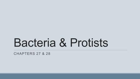 Bacteria & Protists Chapters 27 & 28.