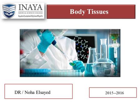 DR / Noha Elsayed 2015--2016 Body Tissues. Course outline.
