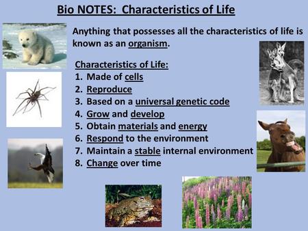 Bio NOTES: Characteristics of Life Anything that possesses all the characteristics of life is known as an organism. Characteristics of Life: 1.Made of.