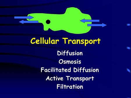 Cellular Transport Diffusion Osmosis Facilitated Diffusion Active Transport Filtration.