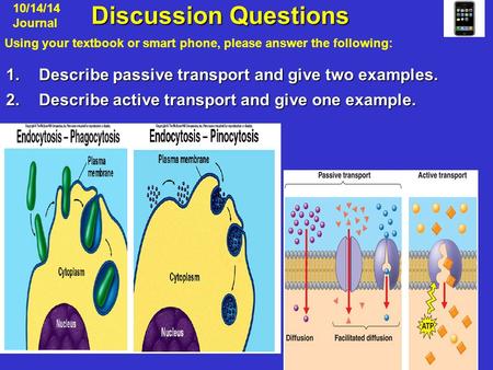 Discussion Questions Discussion Questions 1.Describe passive transport and give two examples. 2.Describe active transport and give one example. 10/14/14.