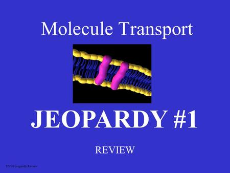 Molecule Transport REVIEW JEOPARDY #1 S2C06 Jeopardy Review.