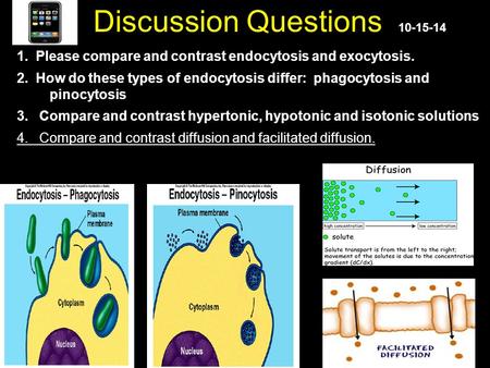 1.  Please compare and contrast endocytosis and exocytosis.