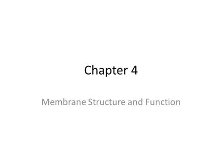 Chapter 4 Membrane Structure and Function. Plasma Membrane.