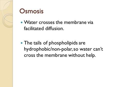 Osmosis Water crosses the membrane via facilitated diffusion. The tails of phospholipids are hydrophobic/non-polar, so water can’t cross the membrane without.