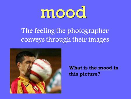 Mood The feeling the photographer conveys through their images What is the mood in this picture?