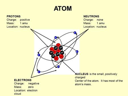 ATOM NEUTRONS Charge: none Mass: 1 amu Location: nucleus ELECTRONS Charge: negative Mass: zero Location: electron cloud PROTONS Charge: positive Mass: