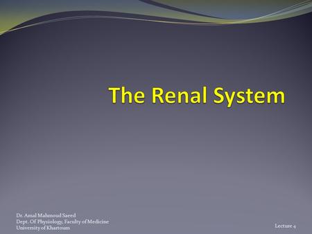 The Renal System.