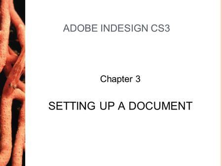 Chapter 3 ADOBE INDESIGN CS3 Chapter 3 SETTING UP A DOCUMENT.