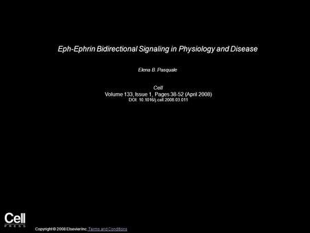 Eph-Ephrin Bidirectional Signaling in Physiology and Disease Elena B. Pasquale Cell Volume 133, Issue 1, Pages 38-52 (April 2008) DOI: 10.1016/j.cell.2008.03.011.