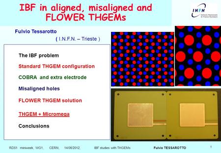 1 IBF in aligned, misaligned and FLOWER THGEMs The IBF problem Standard THGEM configuration COBRA and extra electrode Misaligned holes FLOWER THGEM solution.