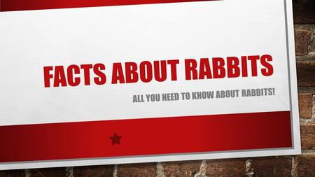 FACTS ABOUT RABBITS ALL YOU NEED TO KNOW ABOUT RABBITS!