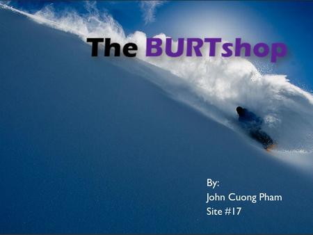 By: John Cuong Pham Site #17. The Business  We sell discounted Burton Snowboards  Between10-25% off retail price  Accumulate inventory through sample.