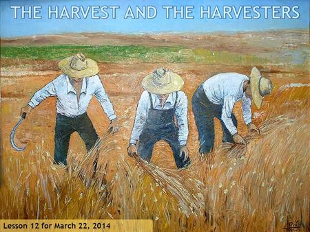 THE HARVEST AND THE HARVESTERS