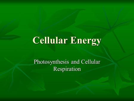 Cellular Energy Photosynthesis and Cellular Respiration.