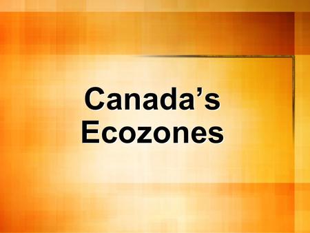 Canada’s Ecozones. ECOZONE Regions based on unique ecological characteristics. Or A large geographical area in which human activities interact with the.