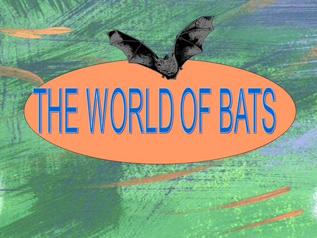 WHERE IN THE WORLD DO BATS LIVE? Bats can be found in almost every part of the world except where it is very, very hot or in the really cold areas and.