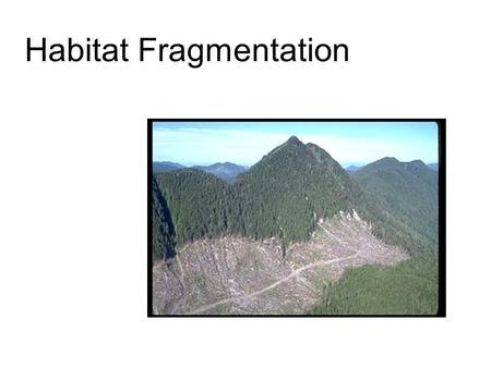 Habitat Fragmentation. Many times, natural habitats show a “patchy” distribution. This affects the organisms that live there.