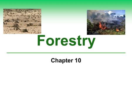 Forestry Chapter 10.