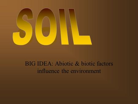 BIG IDEA: Abiotic & biotic factors influence the environment