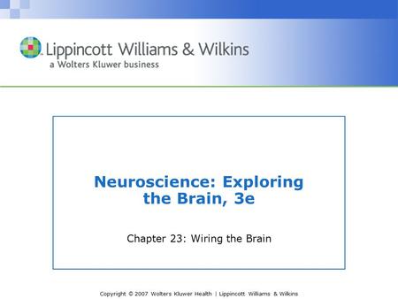 Copyright © 2007 Wolters Kluwer Health | Lippincott Williams & Wilkins Neuroscience: Exploring the Brain, 3e Chapter 23: Wiring the Brain.