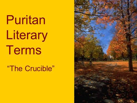 Puritan Literary Terms “The Crucible”. “To My Dear and Loving Husband” Lyric Poetry: brief poems that express the writer’s personal feelings and thoughts.