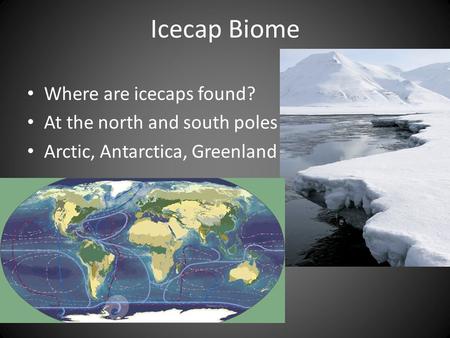 Icecap Biome Where are icecaps found? At the north and south poles Arctic, Antarctica, Greenland.