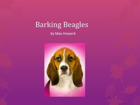 Barking Beagles by Max Howard What are beagles?  Beagles are a breed of dog that loves to play and have fun!  They are fast cute and playful.  Beagles.