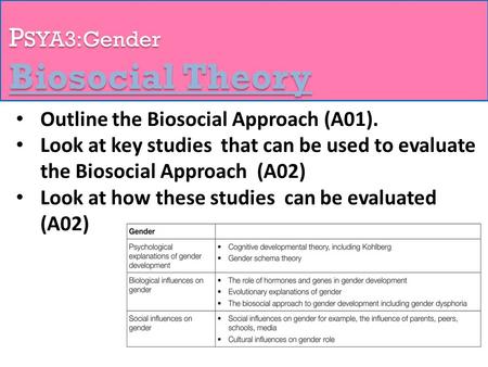 P SYA3:Gender Biosocial Theory Outline the Biosocial Approach (A01). Look at key studies that can be used to evaluate the Biosocial Approach (A02) Look.