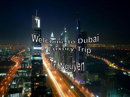 Since you have picked our luxury trip, we will stop at no expense to ensure you have the best experience in our wonderful country, Dubai. Burj Al Arab.