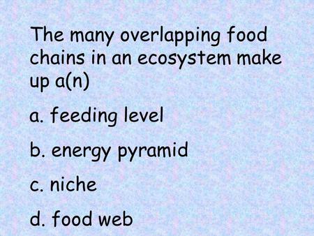 The many overlapping food chains in an ecosystem make up a(n)