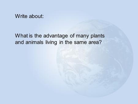 Write about: What is the advantage of many plants and animals living in the same area?