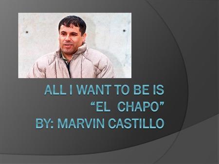 Who the leader of the Sinaloa Cartel is?  Joaquin Guzman Loera aka “El Chapo” is known as the leader of the Sinaloa Cartel, one of the most violent drug.
