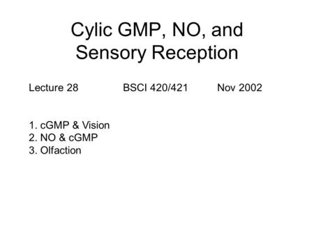 Cylic GMP, NO, and Sensory Reception Lecture 28BSCI 420/421Nov 2002 1. cGMP & Vision 2. NO & cGMP 3. Olfaction.