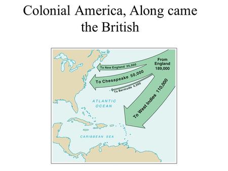 Colonial America, Along came the British. Protestant Reformation Queen Elizabeth I, takes throne, rivalry with Catholic Spain take off Ireland is the.