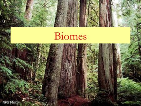 Biomes. What is a biome?  Biomes refer to a large region or area characterized by the following: 1. A particular pattern of the annual temperature and.